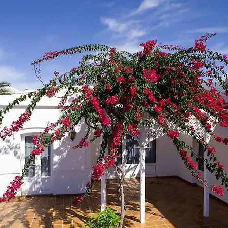 Aparthotel Livvo Coloradamar Playa Blanca (Lanzarote)